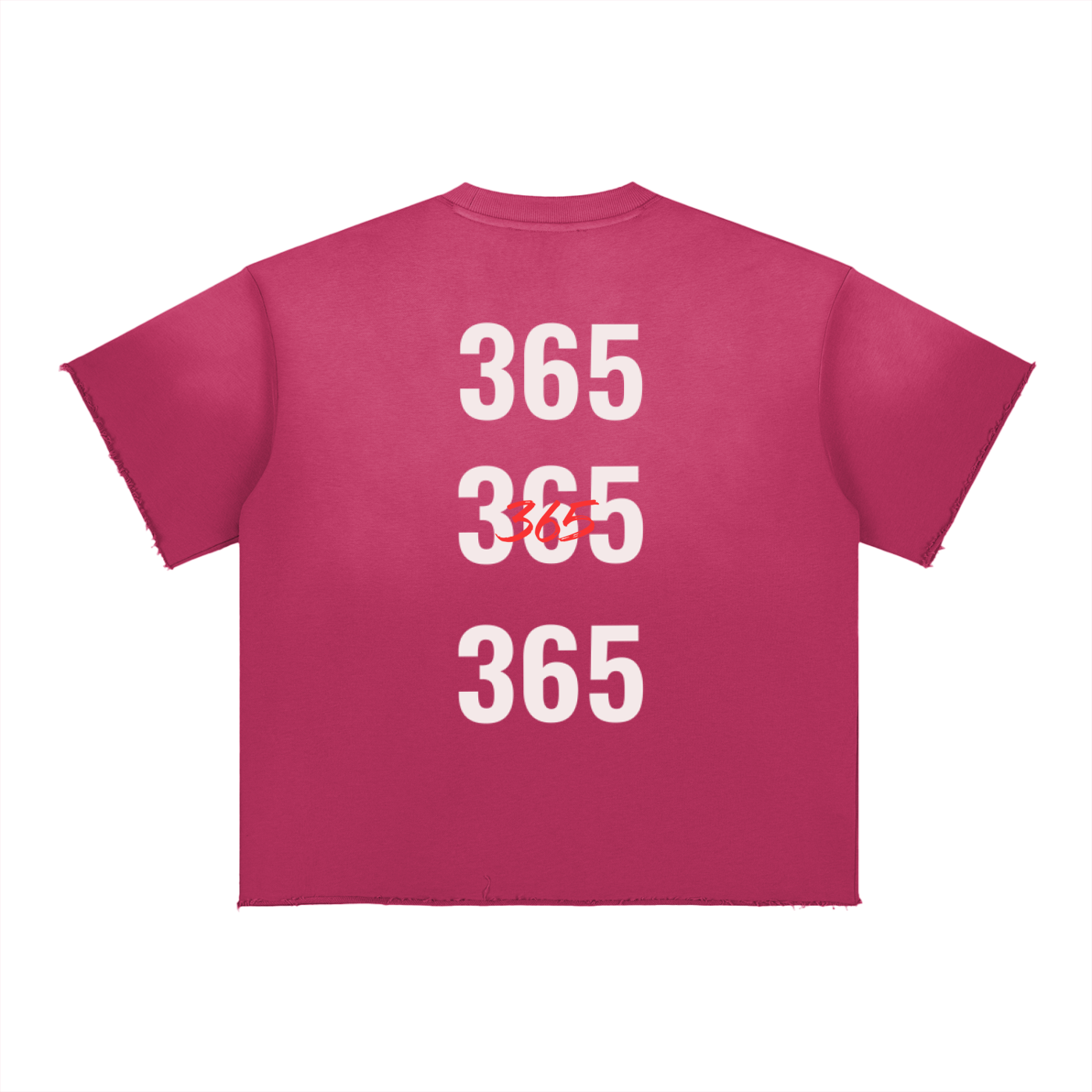 Sun Fade Raw Edge T-Shirt