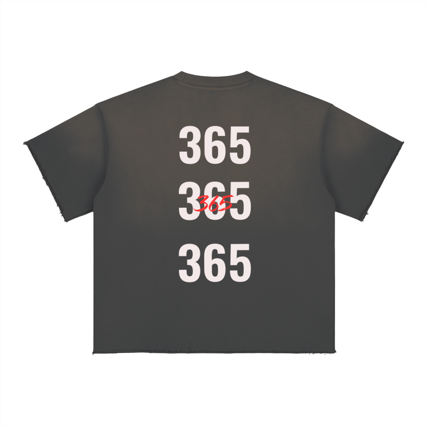 Sun Fade Raw Edge T-Shirt
